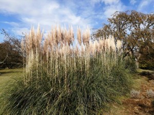 IMG_20201101_100250