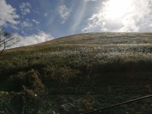 IMG_20201101_100742