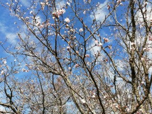 IMG_20201101_102408