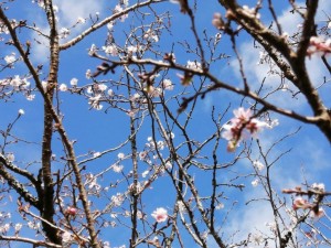 IMG_20201101_102421