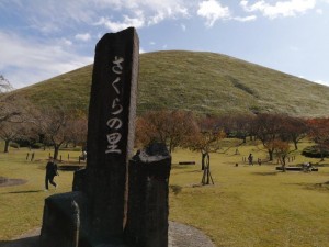 IMG_20201101_104631