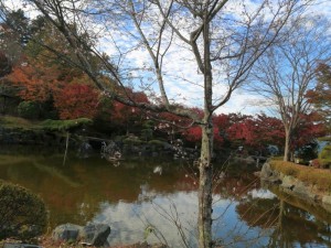 IMG_20201108_080905