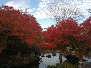 IMG_20201108_081208