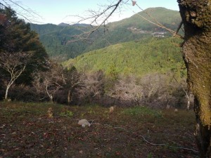IMG_20201108_081702