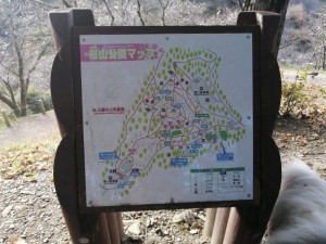 IMG_20201108_081825