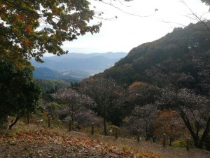 IMG_20201108_081829