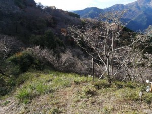 IMG_20201108_082012
