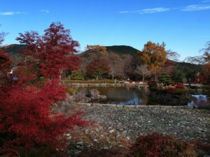 IMG_20201108_082450
