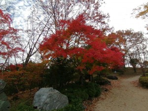 IMG_20201108_083519