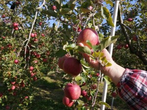 IMG_20201108_101510