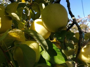 IMG_20201108_101539