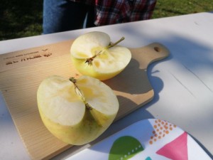 IMG_20201108_101758