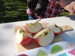 IMG_20201108_102301
