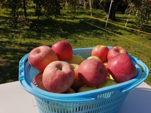 IMG_20201108_103935