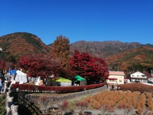 IMG_20201115_092118