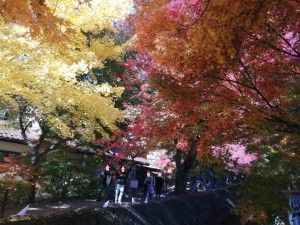 IMG_20201115_092550
