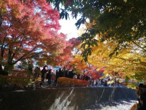 IMG_20201115_093134