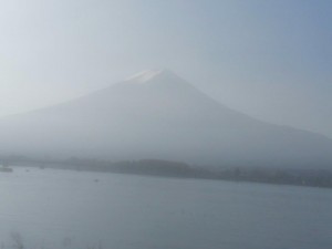 IMG_20201115_094754