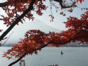 IMG_20201115_094907