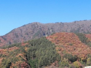 IMG_20201115_101430