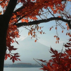 IMG_20201115_182624_381