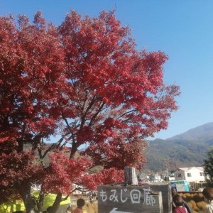 IMG_20201115_182624_416