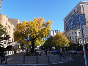 IMG_20201121_085449