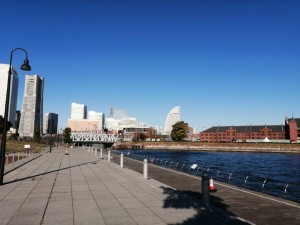 IMG_20201121_090953