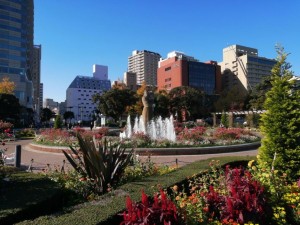 IMG_20201121_093036