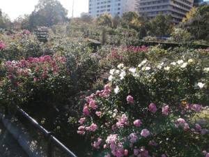 IMG_20201121_093122