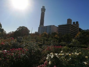 IMG_20201121_093126