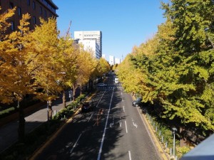 IMG_20201121_094026