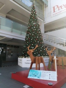 IMG_20201121_095250