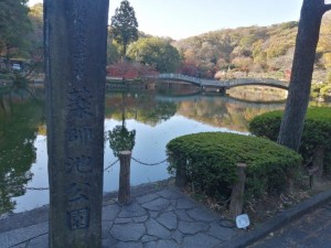 IMG_20201123_083040