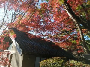 IMG_20201123_083712