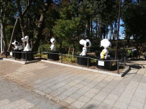 IMG_20201123_103325