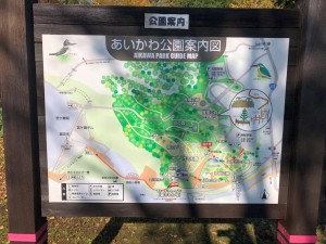 IMG_7593
