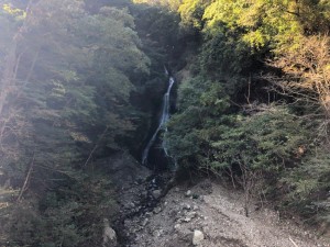 IMG_7636