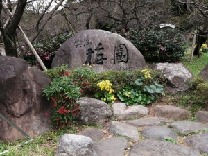IMG_20201129_092915