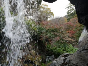 IMG_20201129_094020