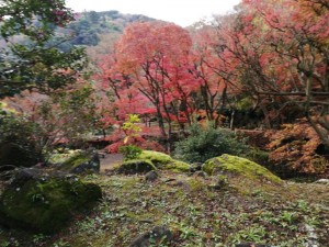 IMG_20201206_074742
