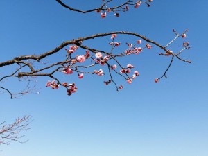 IMG_20210121_140845