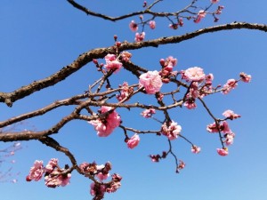 IMG_20210121_140855
