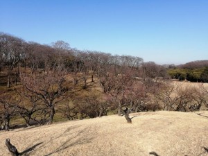 IMG_20210121_141102