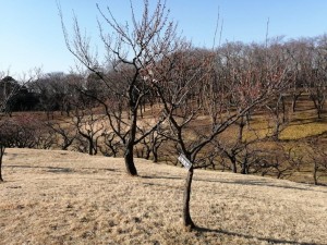 IMG_20210121_141106