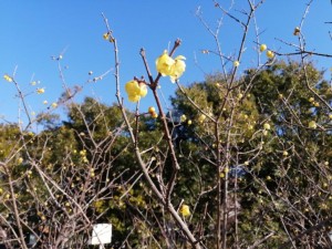 IMG_20210131_141007