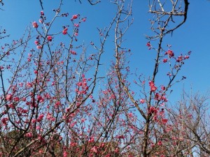 IMG_20210131_141031
