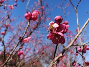 IMG_20210131_141040