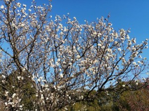 IMG_20210131_141054