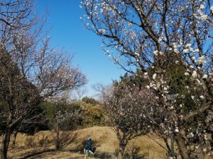 IMG_20210131_141125